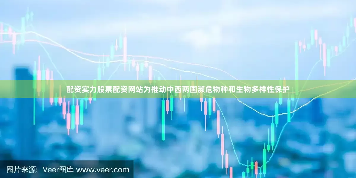 配资实力股票配资网站为推动中西两国濒危物种和生物多样性保护